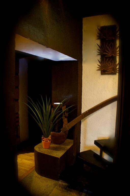 Aztic Hotel And Executive Suites Mexico City Exteriör bild